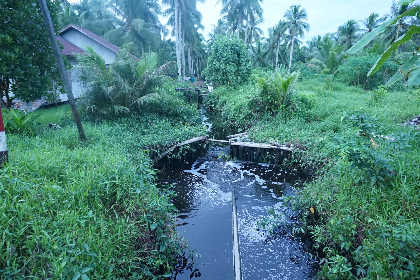 Infrastruktur Pembasahan Gambut